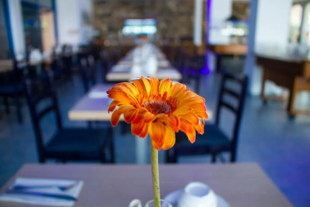 ***  Anonymous Beach Hotel (Adults Only) Ayia Napa Cyprus